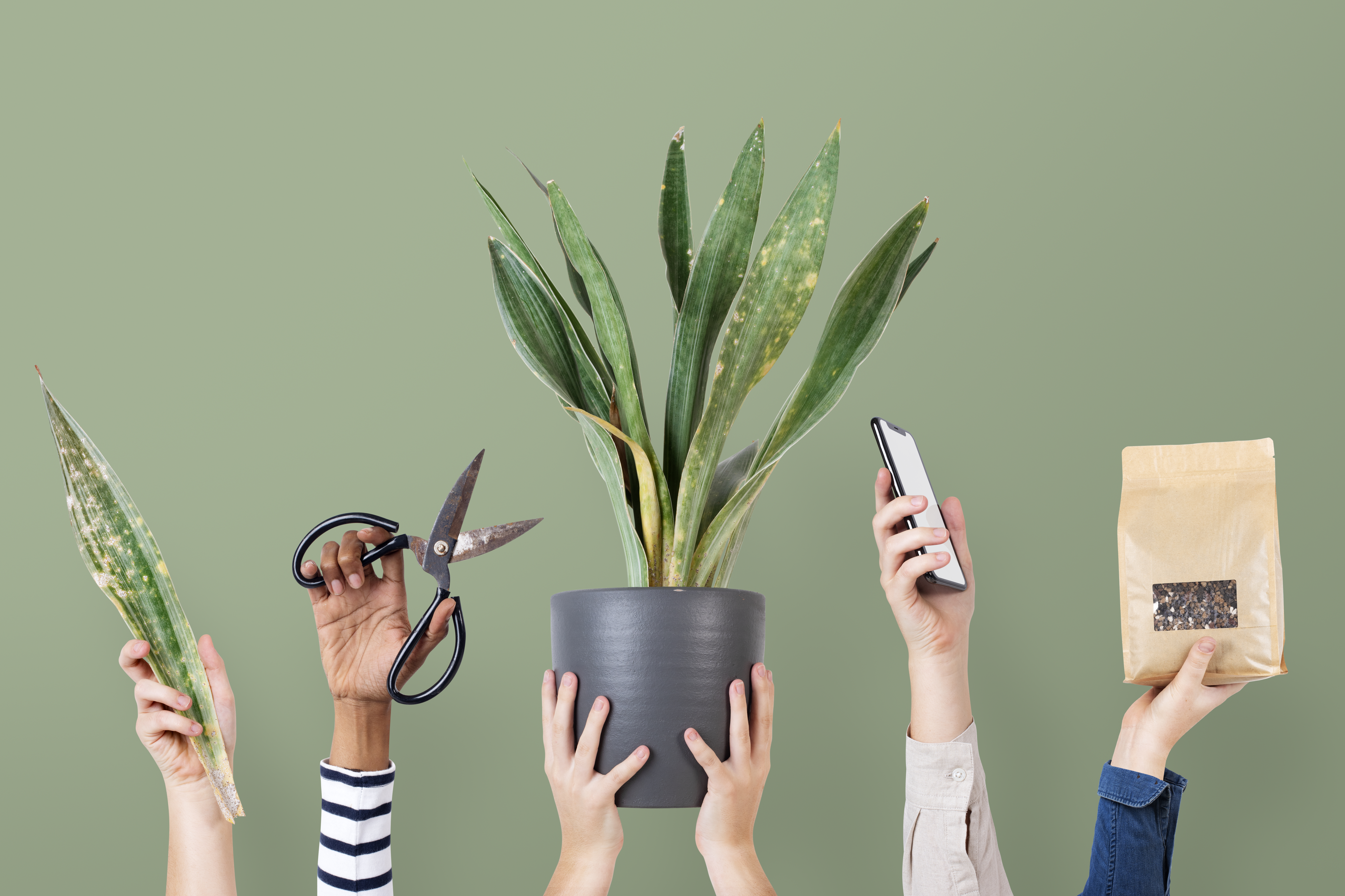 Hands holding up a plant, scissors, and a nurturing gesture towards growth and self-care.